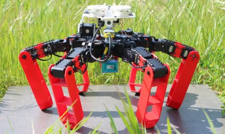Робот AntBot получил уникальную навигационную систему живых муравьев