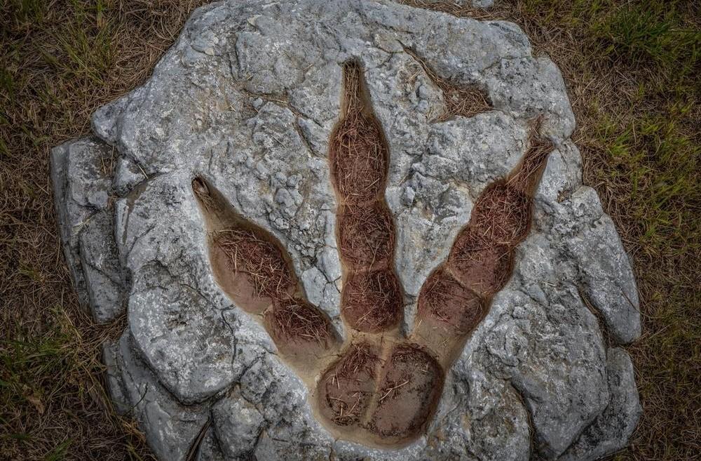 ЕГЭ по биологии-2026: что изменилось, за что отнимают баллы и как подготовиться к экзамену части, биологии, заданий, входит, система, необходимо, задания, Количество, подготовки, ответ, история, всего, методы, также, Также, нужно, первичный, этого, потом, экзамена