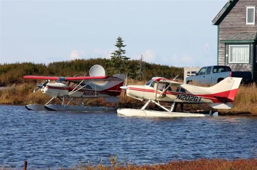 Занимательная Аляска Занимательная Аляска