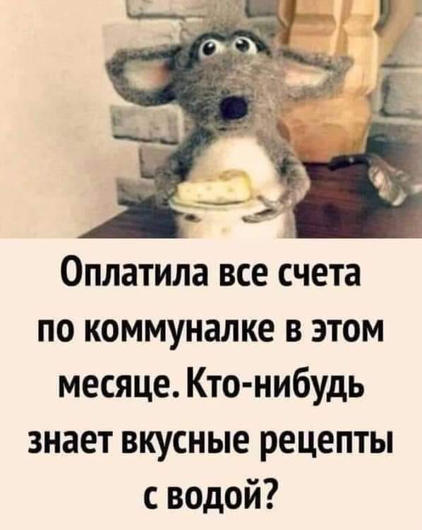 Мужик в магазине покупает сотовый телефон.  Продавец... сказать, опять, Алеша, можно, портить, курить, зовут, проехать, Меркель, господин, время, только, полицейского, улыбкой, полезенИнструкция, Здравствуйте, полицейскй, пожалуйста, грознее, подскажите…