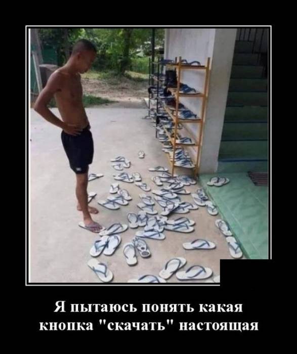 Смешные картинки в чёрной рамке для хорошего настроения! 