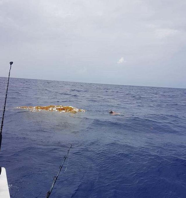 Дайвер обнаружил потерянную рыболовную сеть (4 фото)