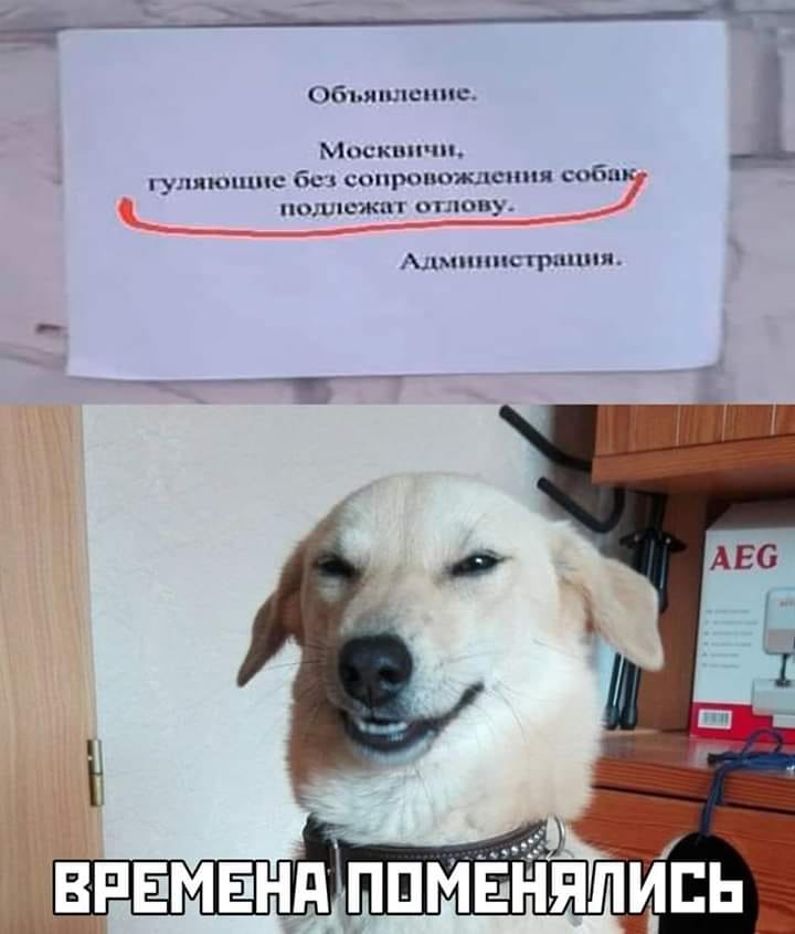 Крутейшая блондинка ехала по шоссе, и у машины кончился бензин... Крутейшая блондинка ехала по шоссе, и у машины кончился бензин... Весёлые,прикольные и забавные фотки и картинки,А так же анекдоты и приятное общение