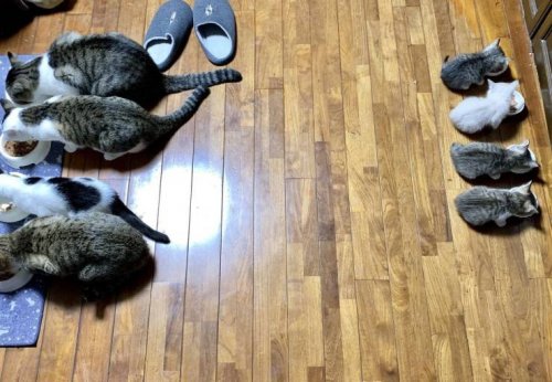 Мужики в день получки выходят с завода Мужики в день получки выходят с завода анекдоты