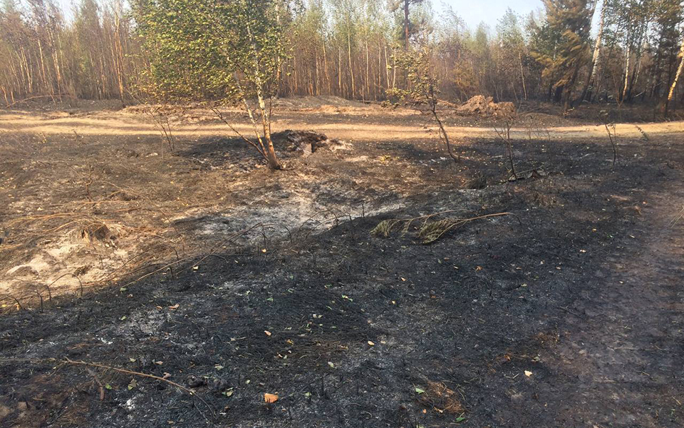 В Рязанской области на тушение сухой травы выезжали 300 раз с начала апреля