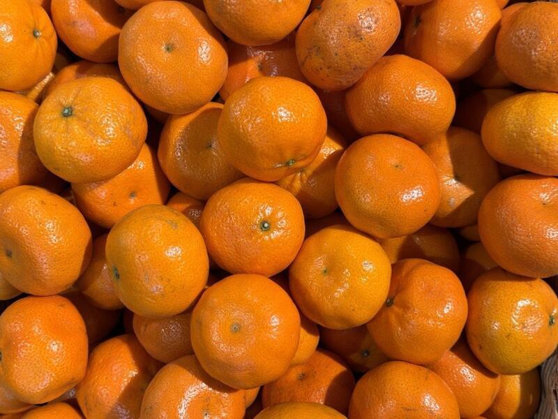 Более 50 тонн мандаринов из Китая проверили в регионе