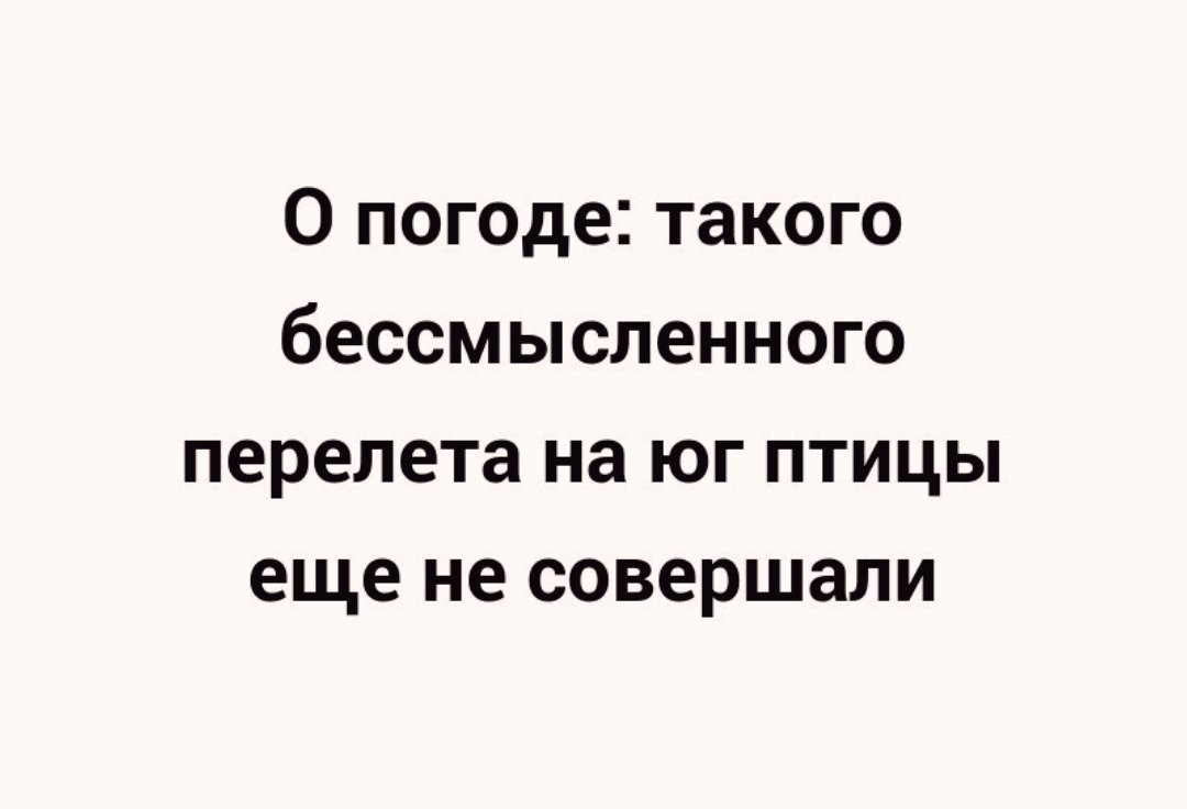 Когда старая дева выходит замуж, она тут же превращается в молодую жену анекдоты,веселые картинки,приколы,юмор