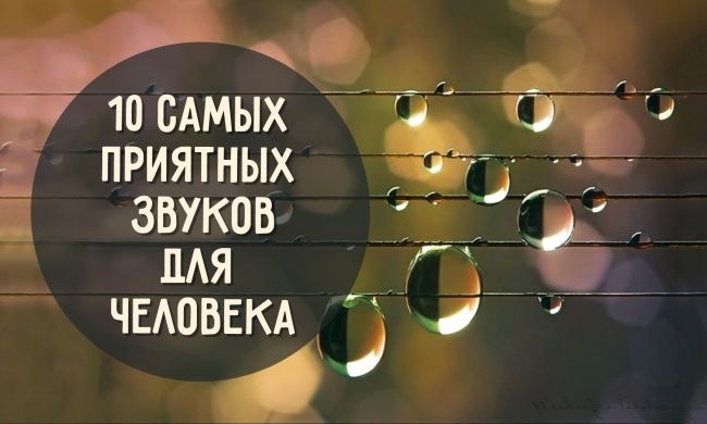 10 самых приятных звуков для человека звуки,интересное,позитив