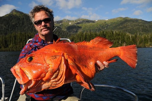 Занимательная Аляска Занимательная Аляска