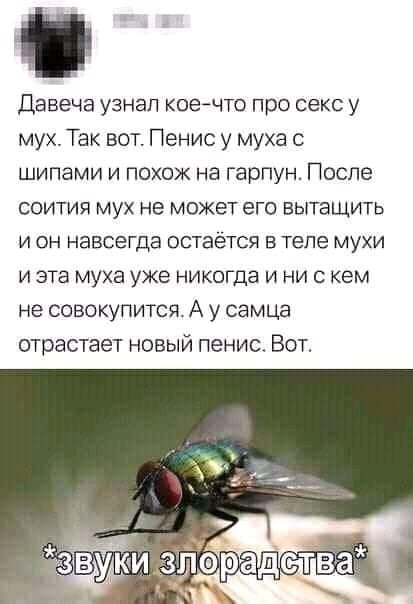 Детка, пойдем, я угощу тебя мартини.. Детка, пойдем, я угощу тебя мартини.. анекдоты,веселье,демотиваторы,приколы,смех,юмор