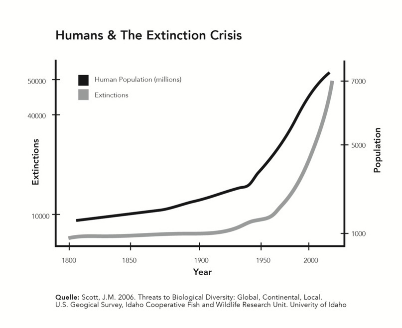 VIP контент: «Планетарное сознание, НЛО, искусственный интеллект и Бездна, из которой нет возврата», изображение №5