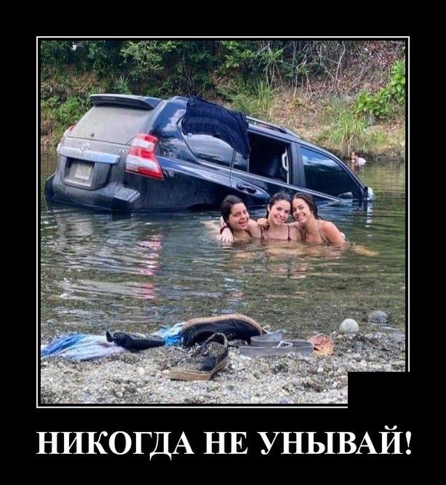 Смешные картинки в чёрной рамке для хорошего настроения! 