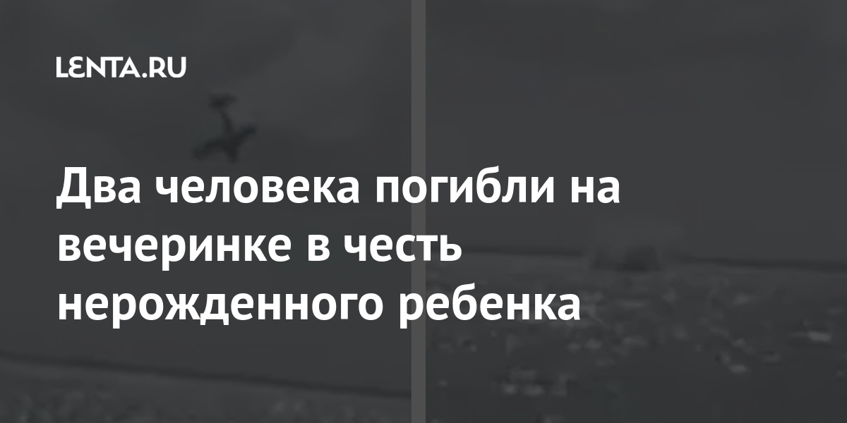 Два человека погибли на вечеринке в честь нерожденного ребенка Из жизни