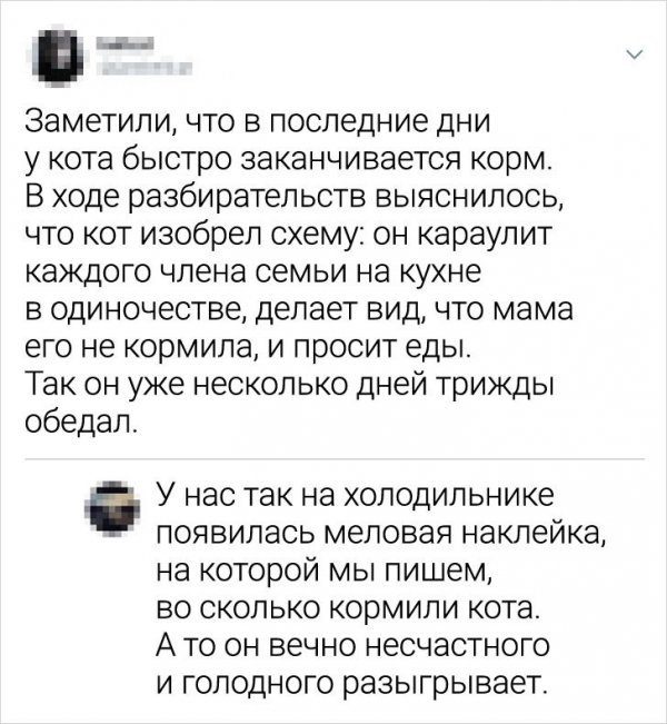 Забавные истории о смекалке Забавные истории о смекалке