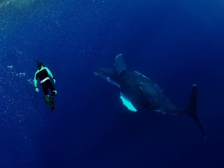 Мужчина нашел способ забыть об измене жены и случайно прославился на весь мир Мужчина нашел способ забыть об измене жены и случайно прославился на весь мир жизненное