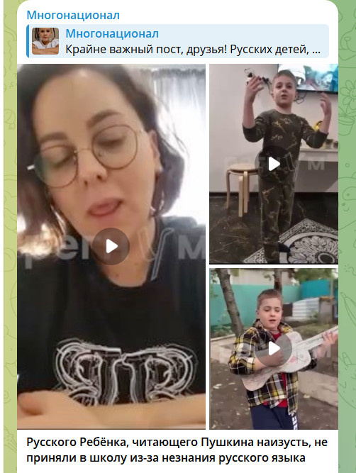    ФОТО: СКРИНШОТ ТГ-КАНАЛА T.ME/MNOGONAZI