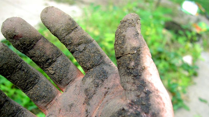 Появилось объяснение, почему в мире так много «дачников» и «огородников»