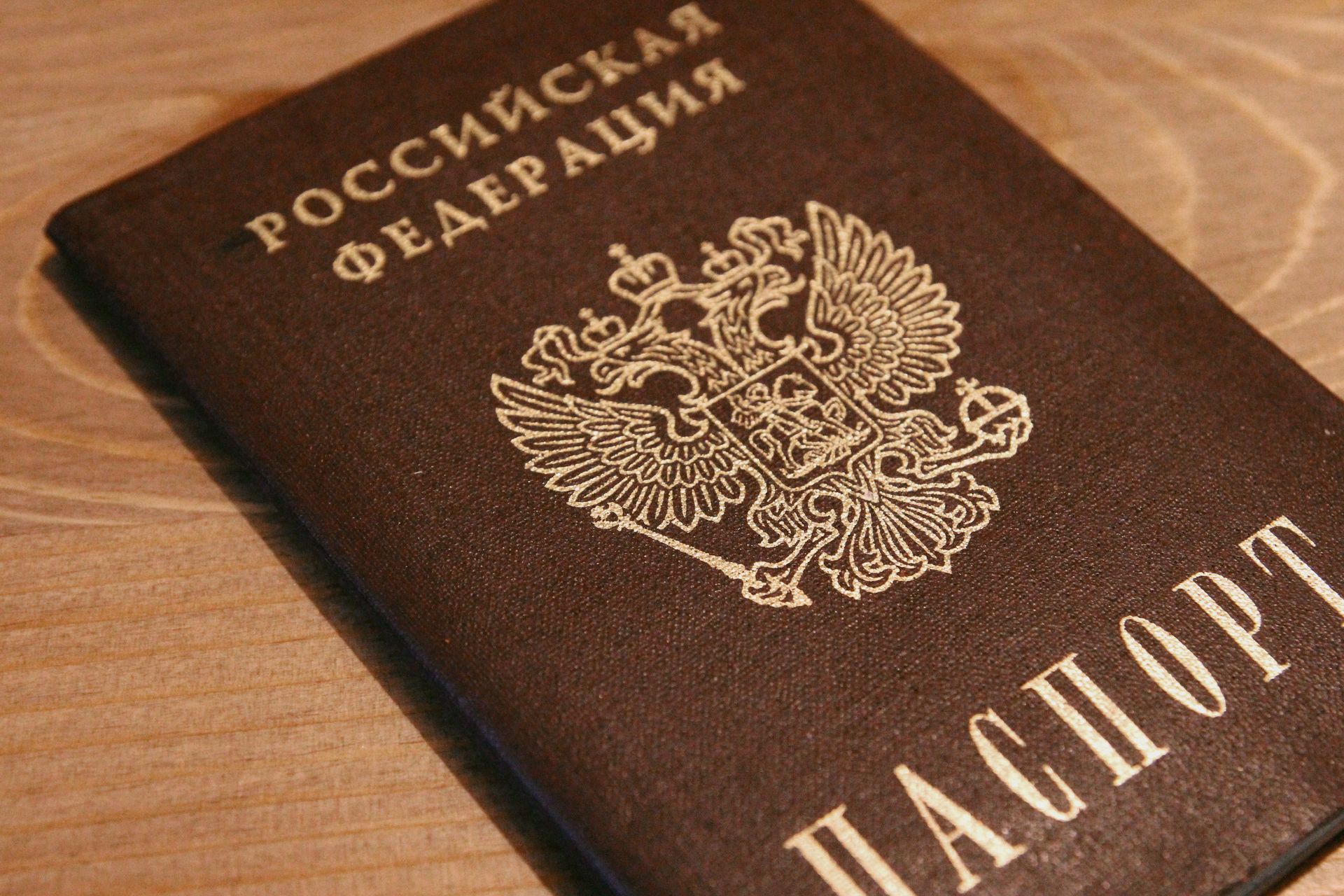 Госдума рассмотрит инициативу о лишении гражданства за действия против безопасности России Общество