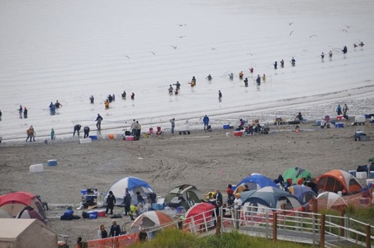 Занимательная Аляска Занимательная Аляска