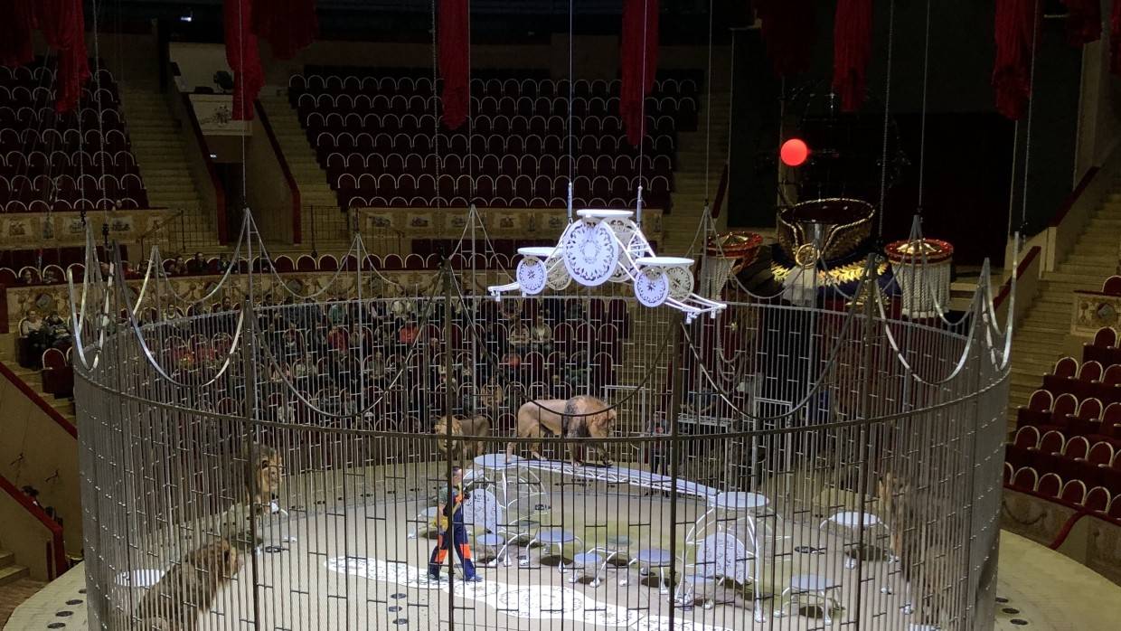Посетителей цирка в Ярославле эвакуировали во время представления из-за угрозы взрыва