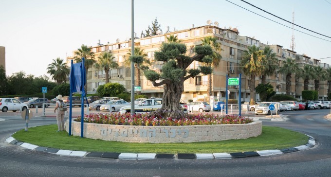 В борьбе обретешь ты право свое! В борьбе обретешь ты право свое! Истории из жизни,приколы