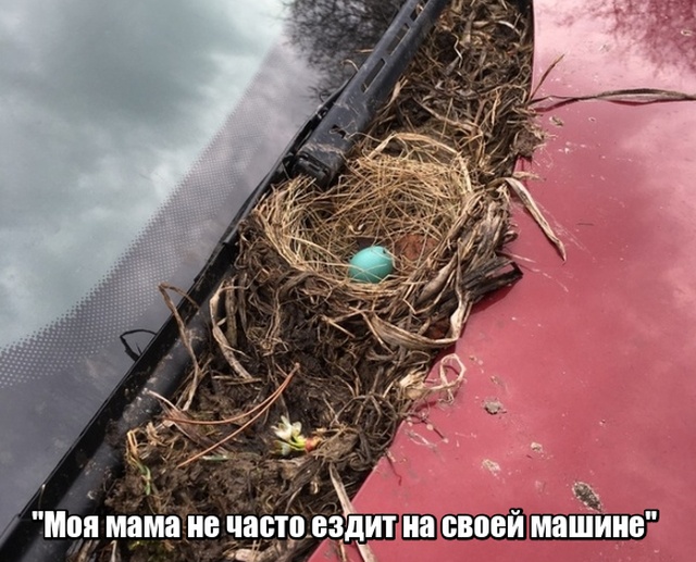 Подборка смекшных артинок 