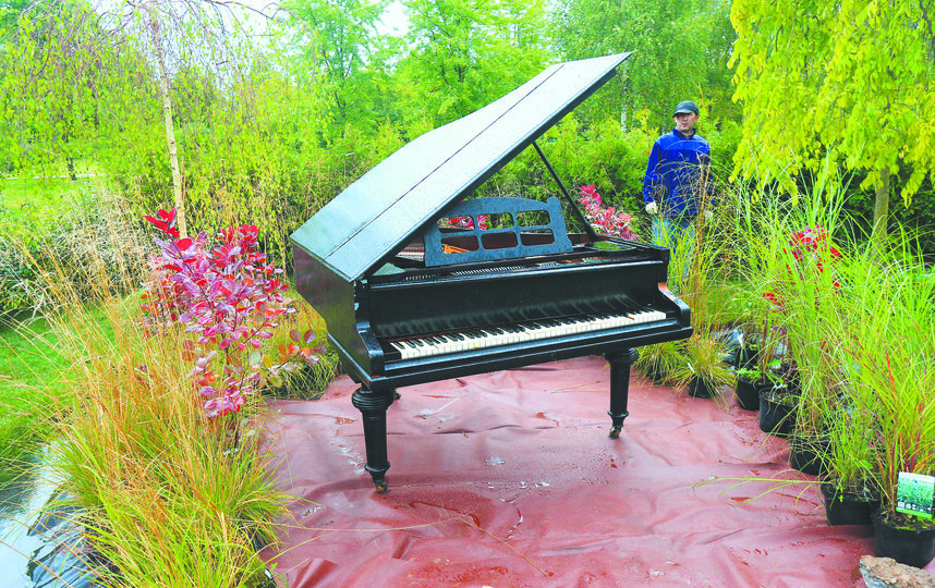 Пианино в лесу. Рояль в кустах. Рояль в кустах юмор. Рояль в кустах значение. Пианино в кустах.