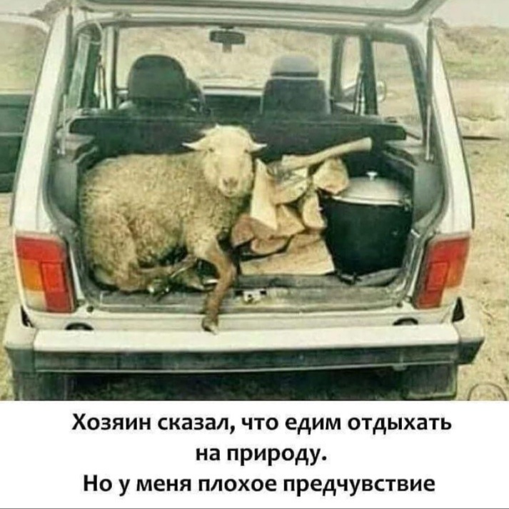 Веселые истории о нас. Лето 