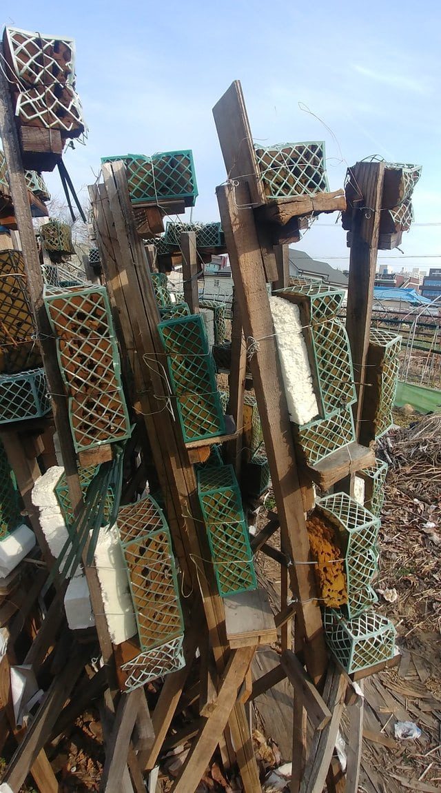 Что это за штуковина? Кто знает ответ? Что это за штуковина? Кто знает ответ? авто и мото,автоновости