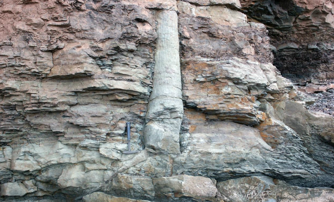 Скала в Китае осыпалась и обнажила железные трубы: анализ показал, что находке больше миллиона лет Культура