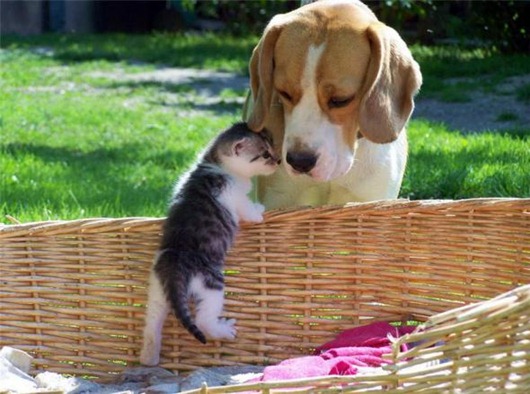 clip_image045
