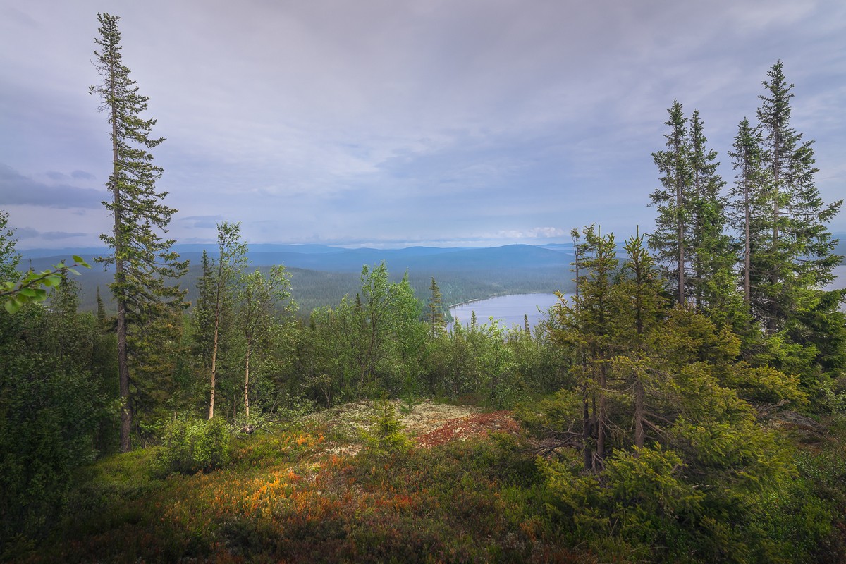 Лапландский заповедник Кольский полуостров