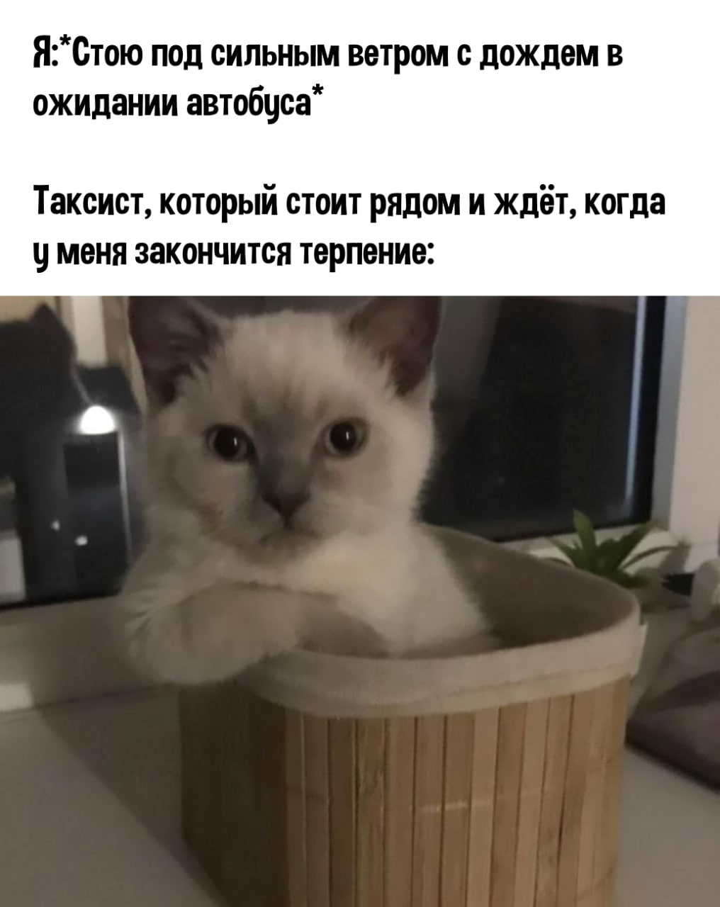 Подборка шуточек Подборка шуточек