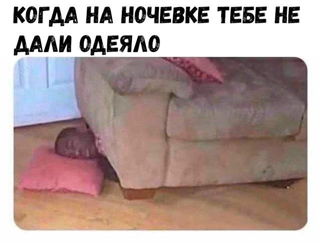 Юмор в картинах Юмор в картинах