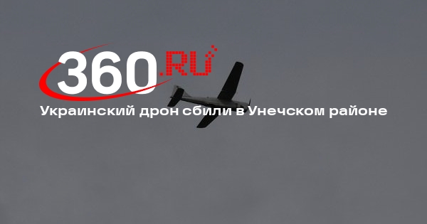 Богомаз: силы ПВО сбили один БПЛА в Унечском районе Брянской области