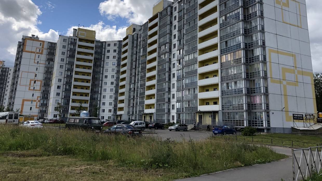 Жителя Петербурга расстреляли во дворе дома в Шушарах