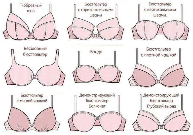 Виды бюстгальтеров названия и фото с описанием и фото