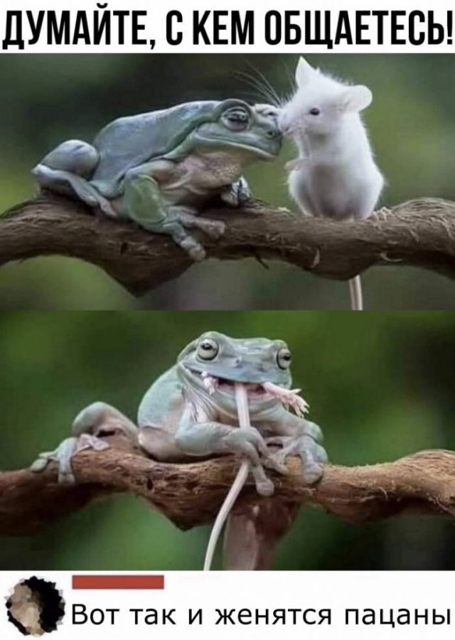 Смешные комментарии к постам в социальных сетях Смешные комментарии к постам в социальных сетях позитив,юмор