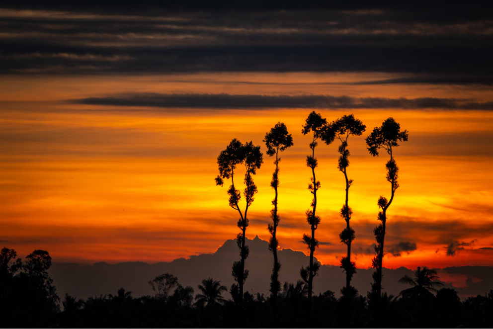 Linh Tran - Leica SL