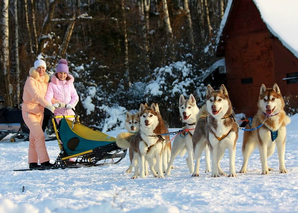 Новогодний бизнес: 25 идей, как заработать на новогодних праздниках можно, рублей, новогодних, может, услуги, бизнес, будет, новогодние, только, чтобы, которые, костюмы, заработать, бизнеса, Поэтому, можете, праздников, много, аренду, новогоднего