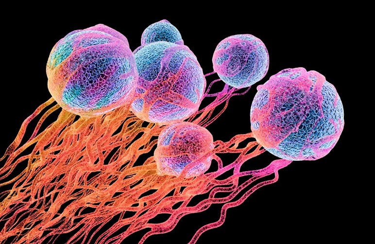 Эксперт рассказал, какой будет наша жизнь в 2050 году