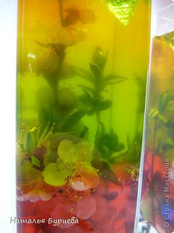 Цветы в желатине: мастер-класс Цветы в желатине: мастер-класс домашний очаг,поделки,рукоделие,своими руками