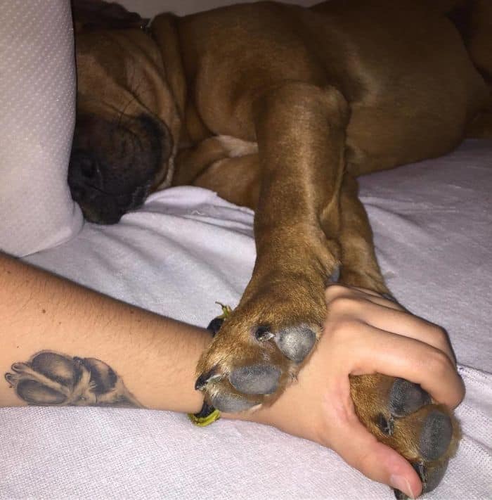 The Paws Of The Dogs Are Being Tattooed On Their Owners And The Result Is Adorable
