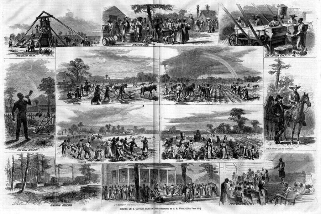 Рабы занимаются сбором урожая сахарного тростника (штат Луизиана, 1853 год)