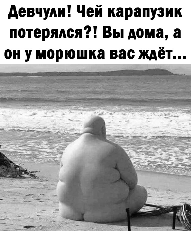 Веселые истории о нас. Лето 