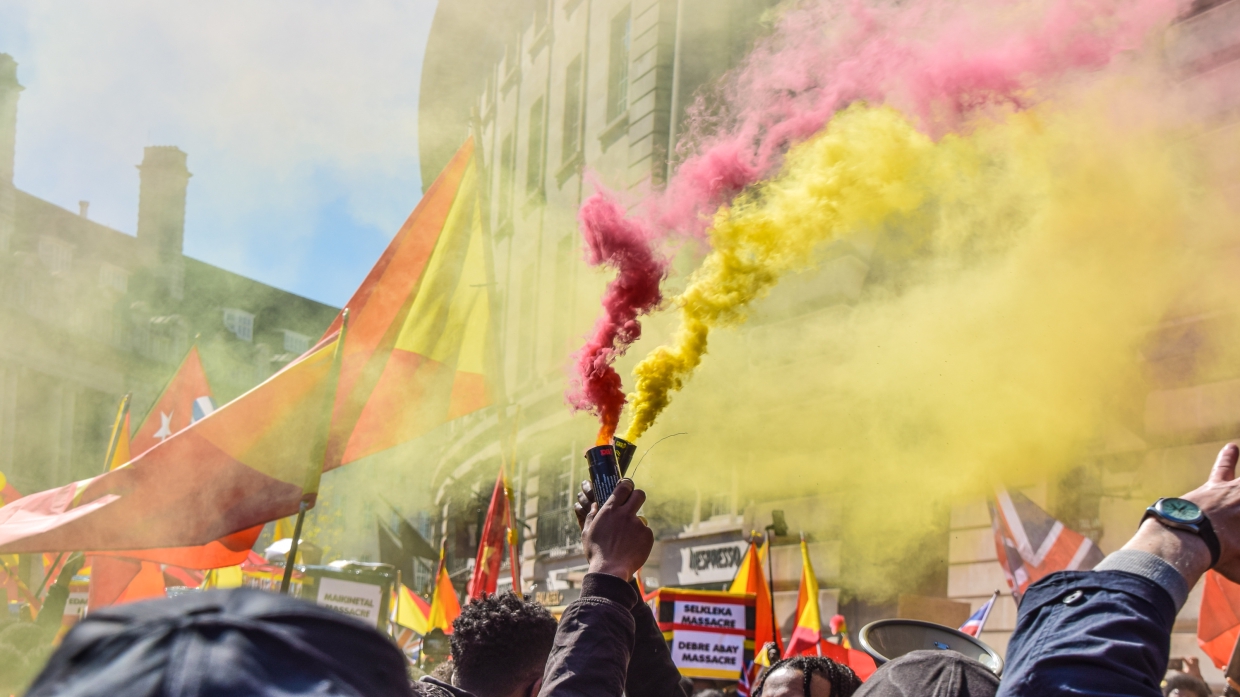 Эфиопская диаспора в Судане вышла на митинг против сепаратистов НФОТ Весь мир