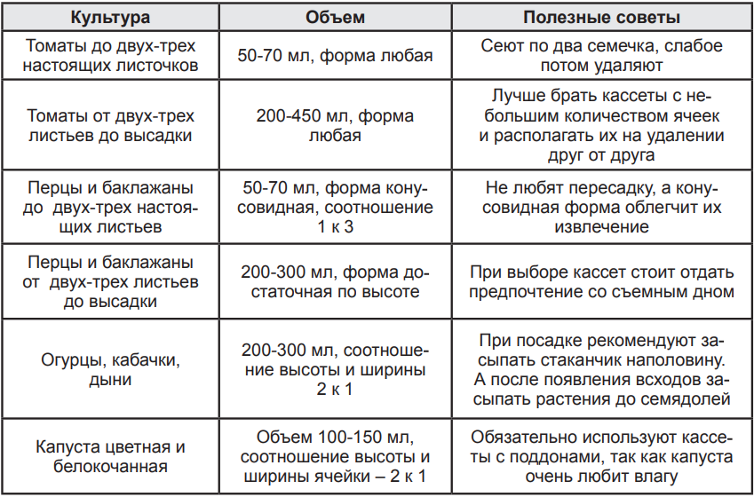 Рассада в кассетах: главные отличия выращивания 