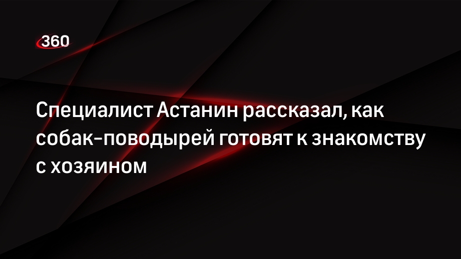 Специалист Астанин рассказал, как собак-поводырей готовят к знакомству с хозяином