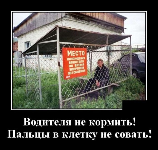 Демотиваторы дня. Классика жанра Демотиваторы дня. Классика жанра демотиваторы