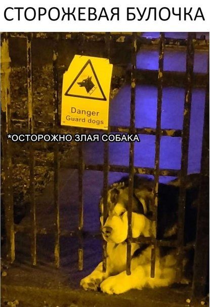 Весёлые фотомемы дня Весёлые фотомемы дня